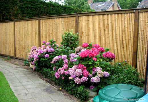 Bamboe Schutting Plaatsen in Houten Frame