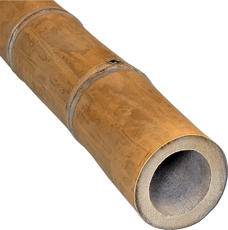 Bamboe Stokken & Palen