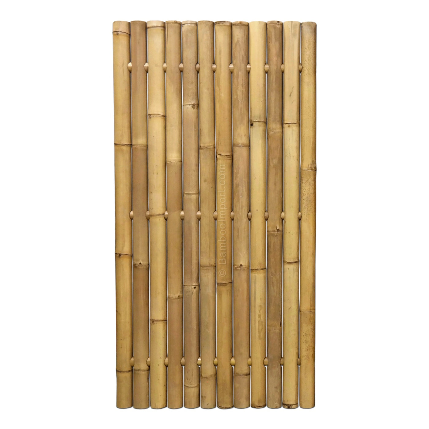 Bamboe Schutting Giant