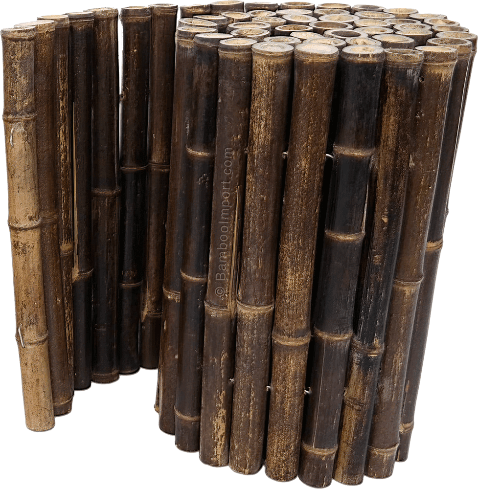 Bamboe Border Zwart op rol - Product shot1