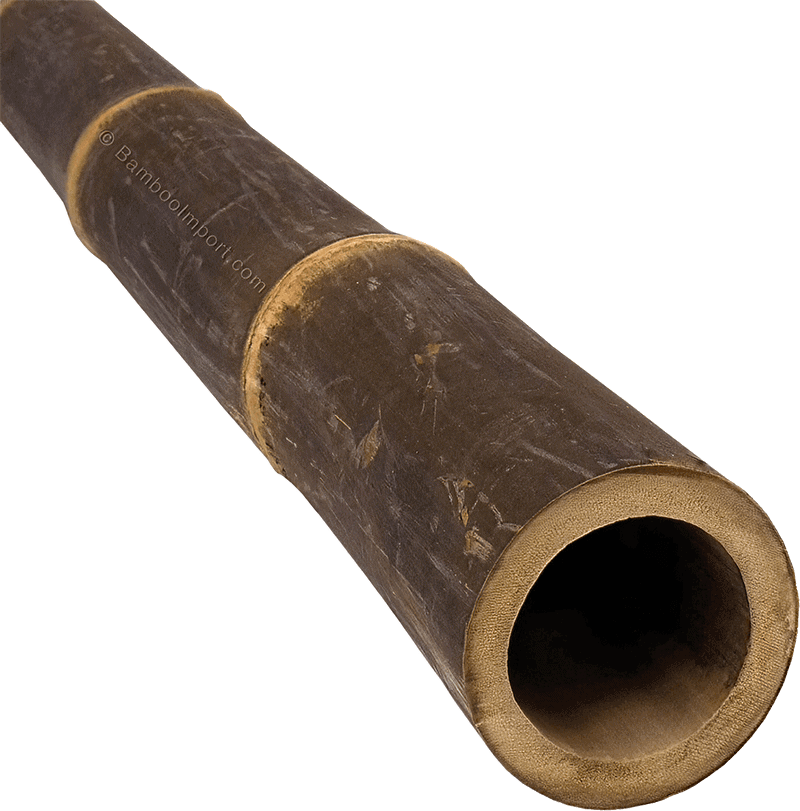 Bamboo Pole Java Dark