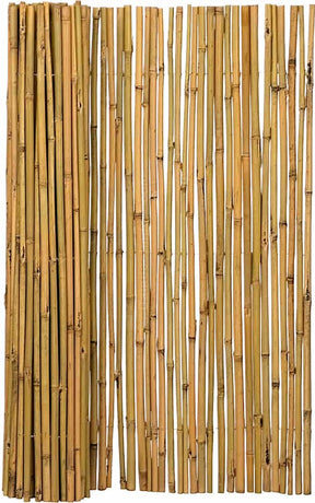 Bamboo Fence Roll Budget Natural