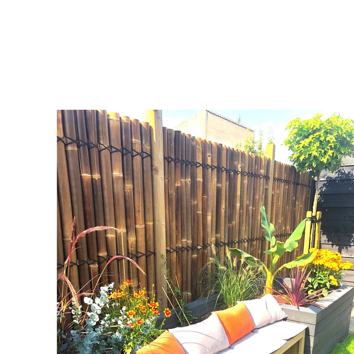 Bambus-Zaun Halbrund Dunkel