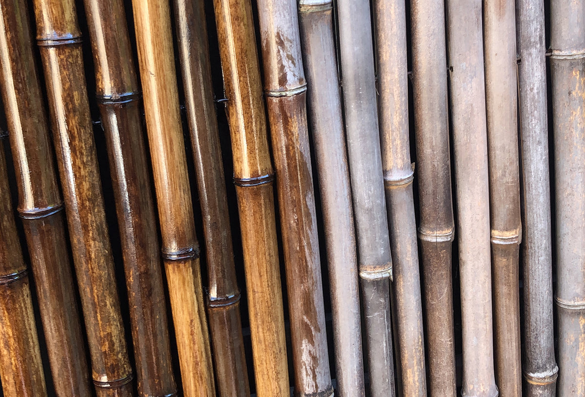 Bamboo Renovator Black