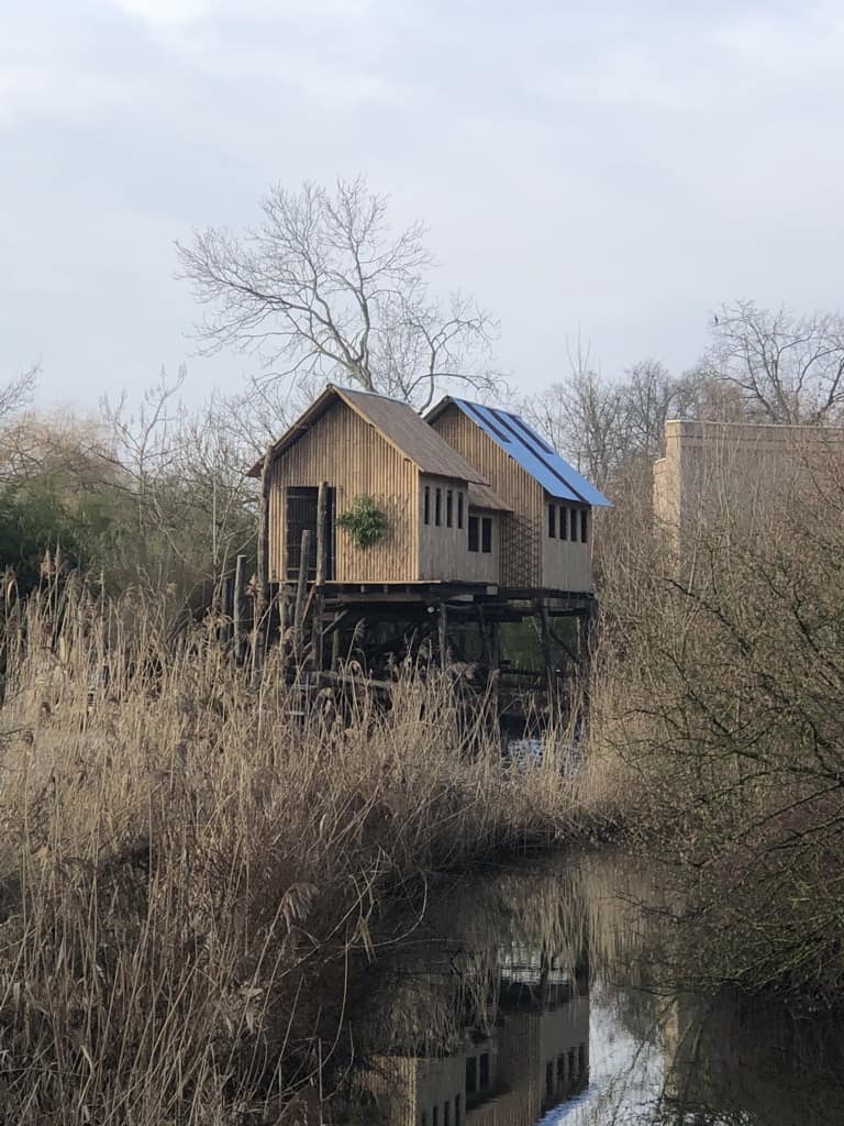 Olifantenuitkijk in Planckendael Zoo