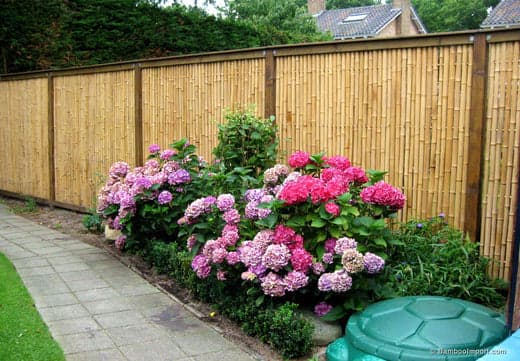 Bamboe Schutting Plaatsen in Houten Frame