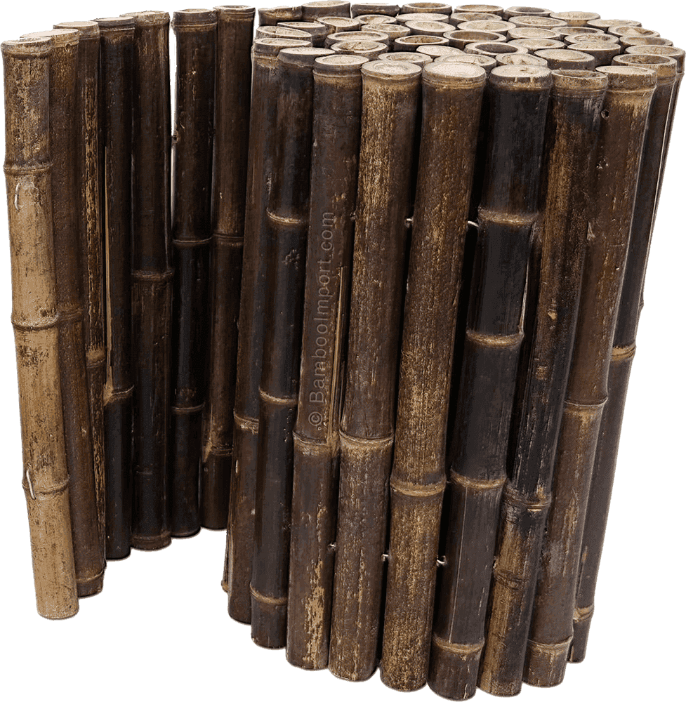 Bamboo Border Dark On Roll - Nigra