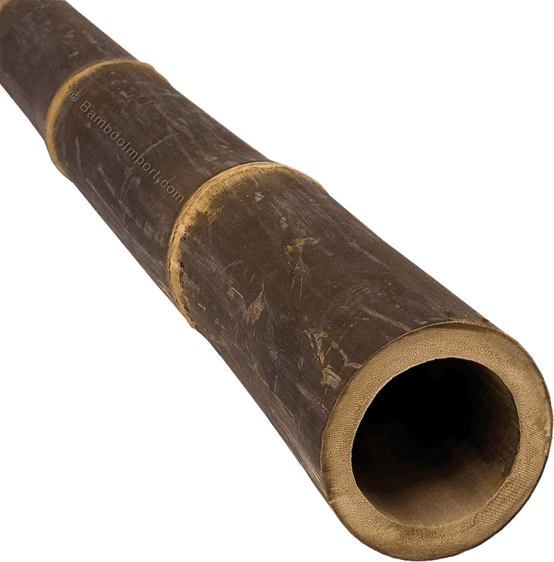 Bamboo Pole Java Dark