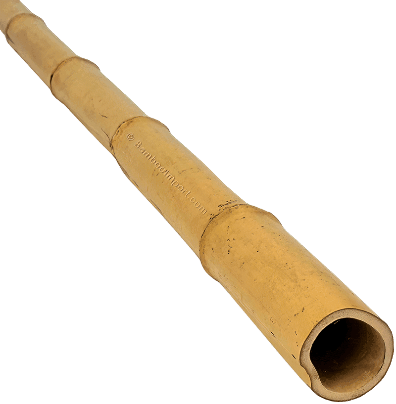 Bamboo Pole Moso - Natural