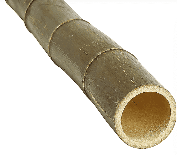 Bamboo Pole Moso (EU)