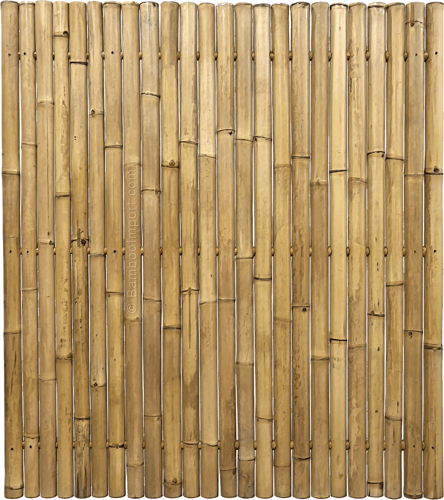 Bamboo Fence Giant Natural - Tali