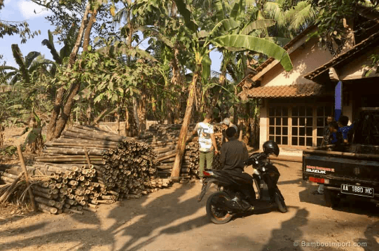Bamboo Import Europe Investeert in Ontwikkelingslanden