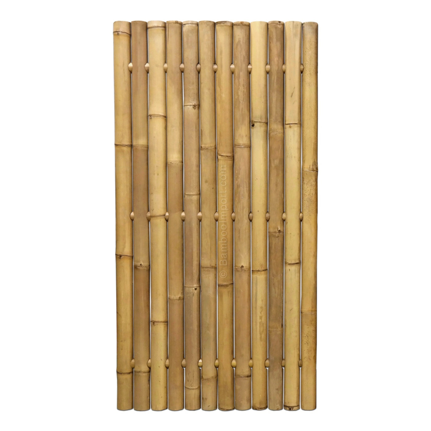 Bamboe Schutting Giant