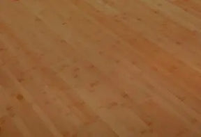 Bamboo Floor Forest