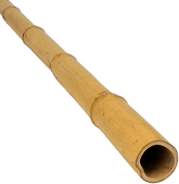 Bamboe Paal Moso (EU)