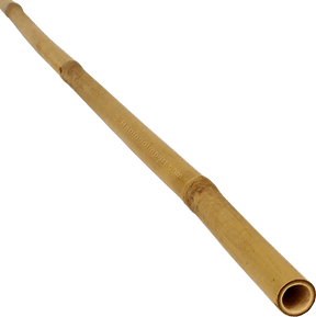 Bambusová tyč Tonkin (EÚ)