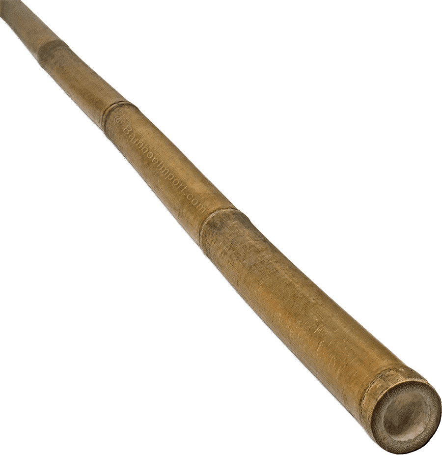 Bamboe Stokken Tonkin - 30-35mm x 625cm