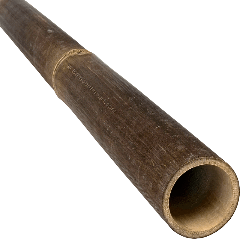 Bamboo Pole Java Black