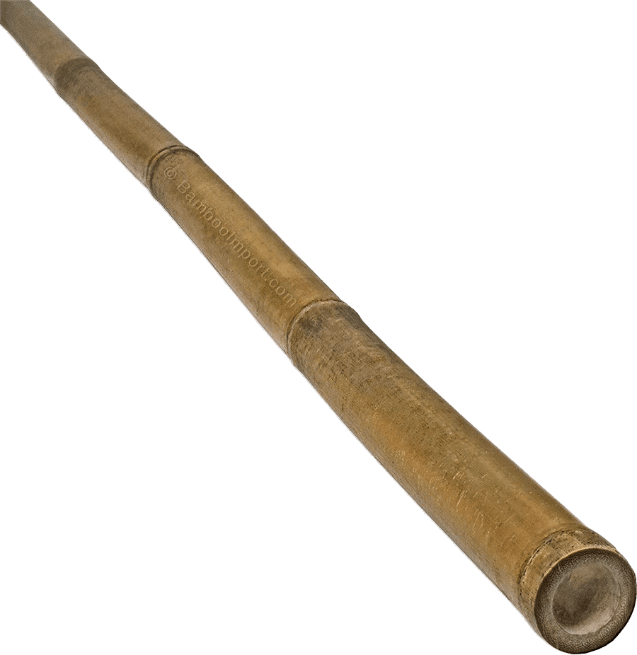 Bambusová hůl Tonkin
