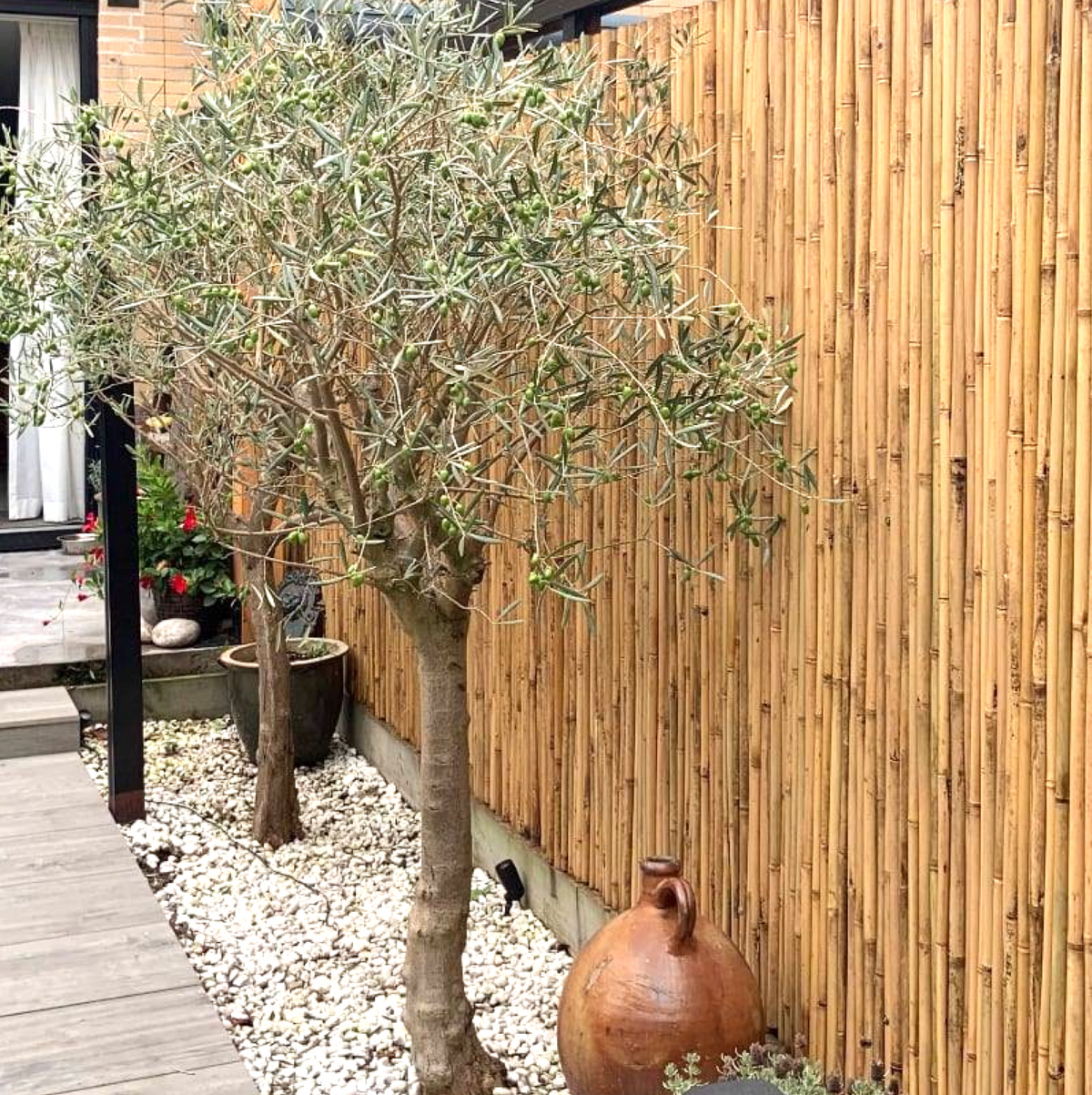 Bamboo Fence Roll Budget Natural
