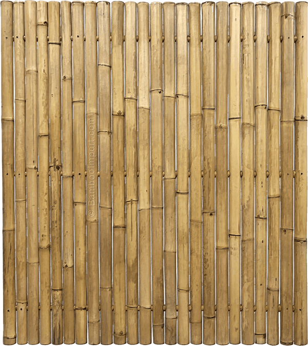 Our Bamboo Fence Giant Natural is made from 69 cm thick bamboo canes