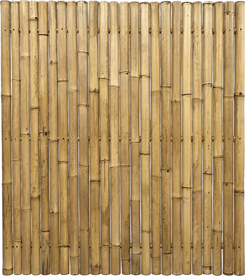 Our Bamboo Fence Giant Natural is made from 69 cm thick bamboo canes