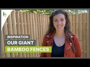 Bambusz kerítés óriás természetes