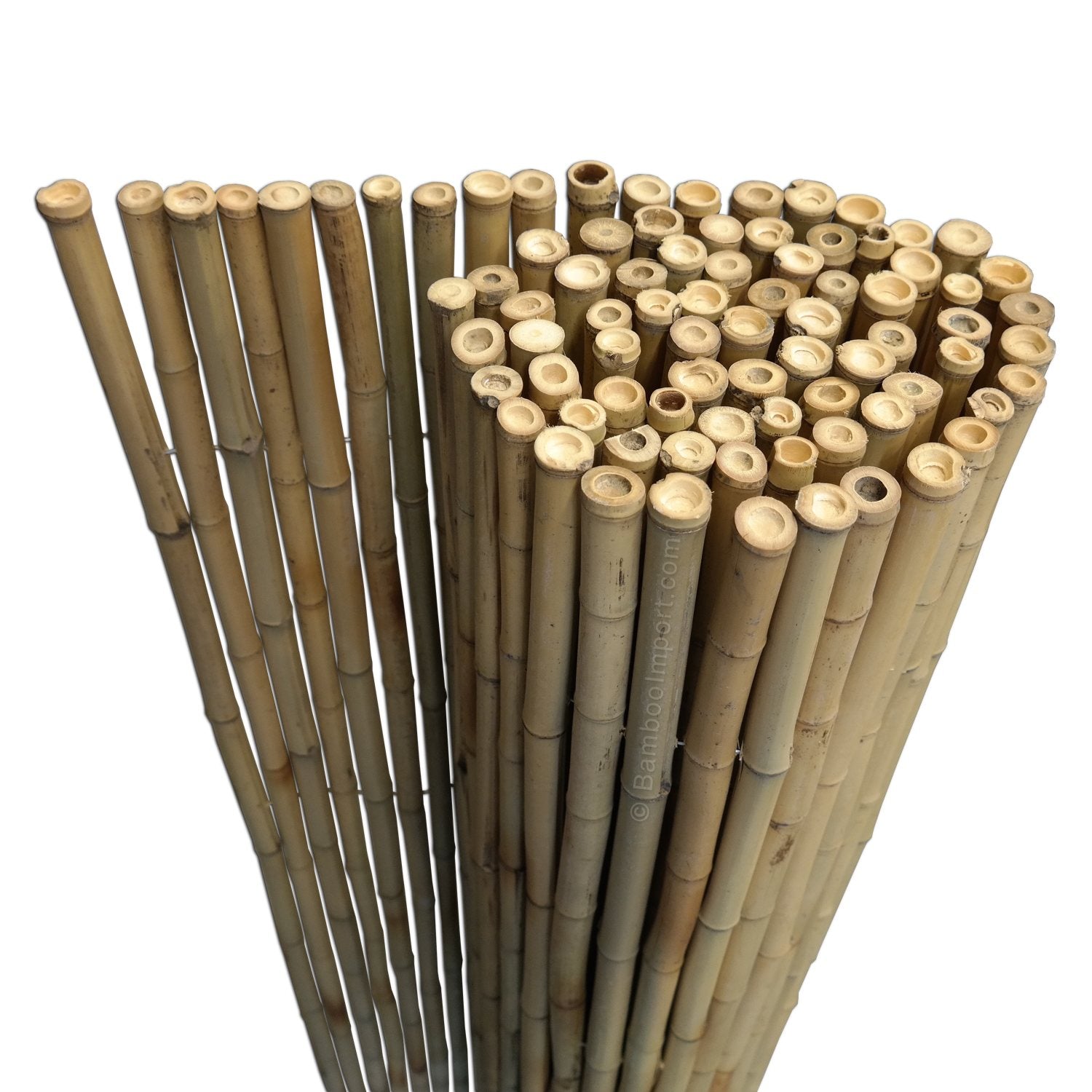 Bamboe Mat Regular Naturel - Moso