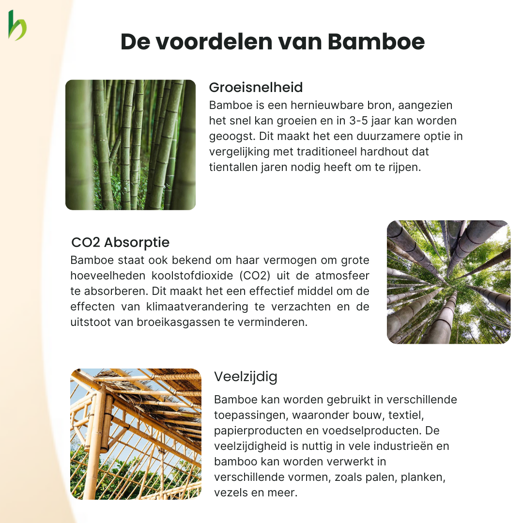 Bamboe Schutting Giant Donker - Java