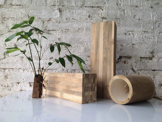 El bambú sostenible es un negocio sostenible