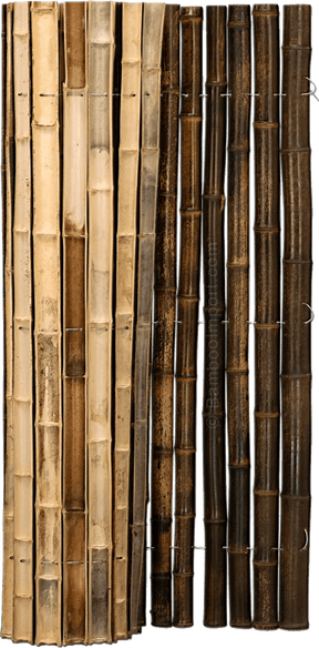 Stuoia di bambù Tonkin su un rotolo - immagine