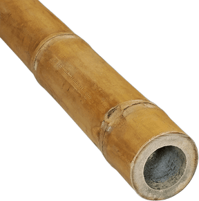 Bambuspinde Guadua - 50-70mm