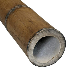 Bastoni di bambù Guadua - immagine di testa3